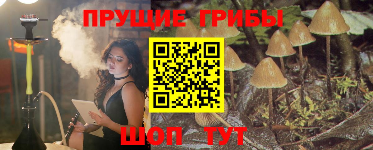 Галлюциногенные грибы Magic Shrooms Нальчик